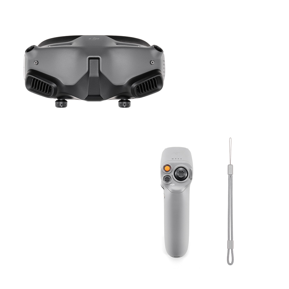 DJI Goggles 2 Motion Combo (DJI RC Motion 2)