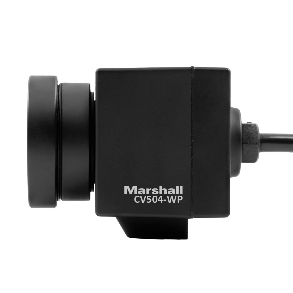 Marshall - CV504-WP