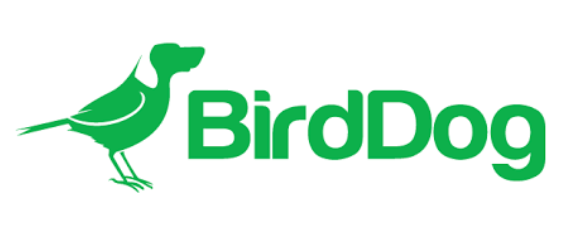 BirdDog