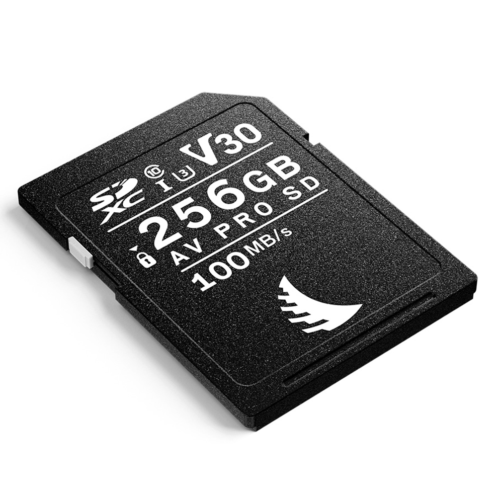 Angelbird - AV PRO SD V30 - 256 GB