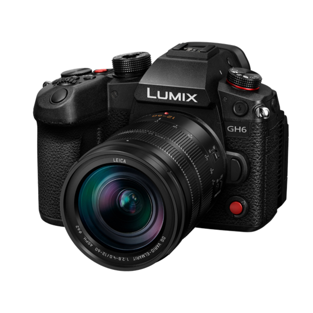 Panasonic - GH6L