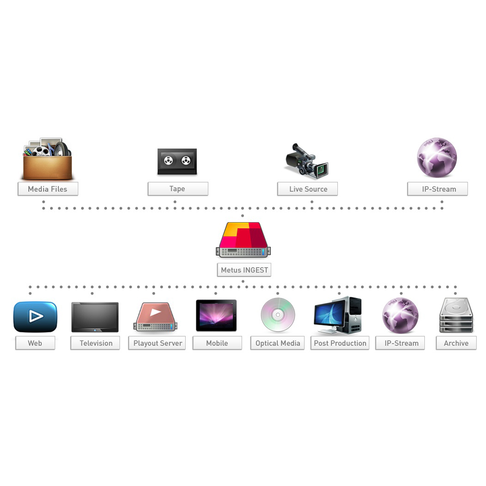 Metus - Ingest Standard