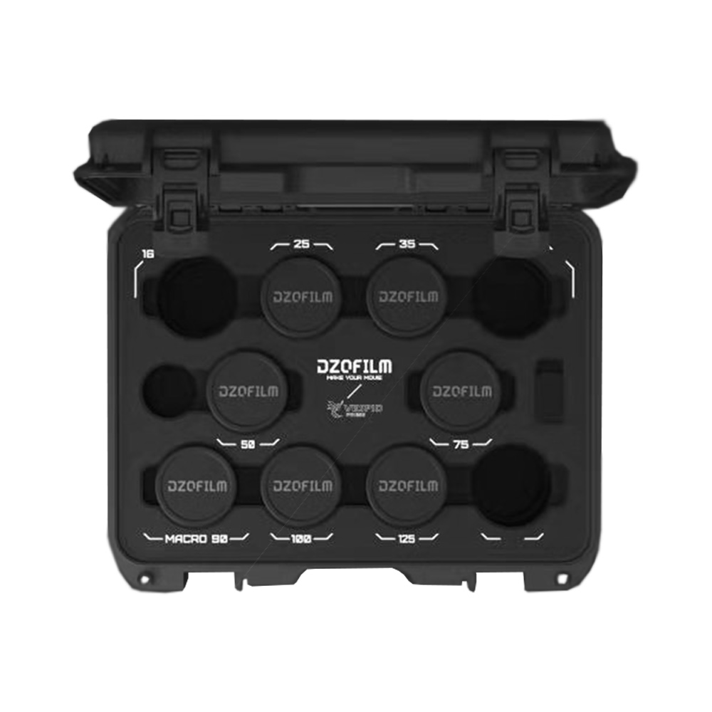 DZOFilms - 10 pcs Vespid Prime Case