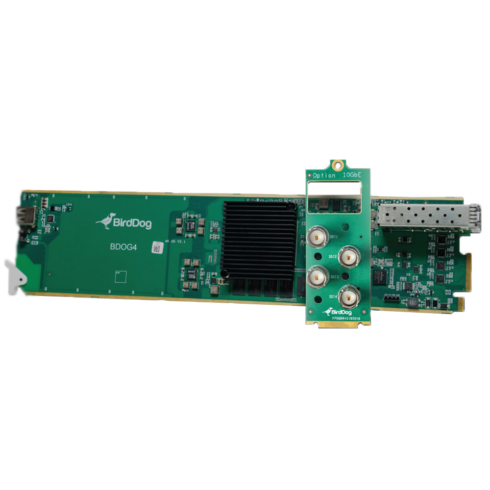 BirdDog - 4Kp60 12G-SDI zu NDI Encoder/Decoder