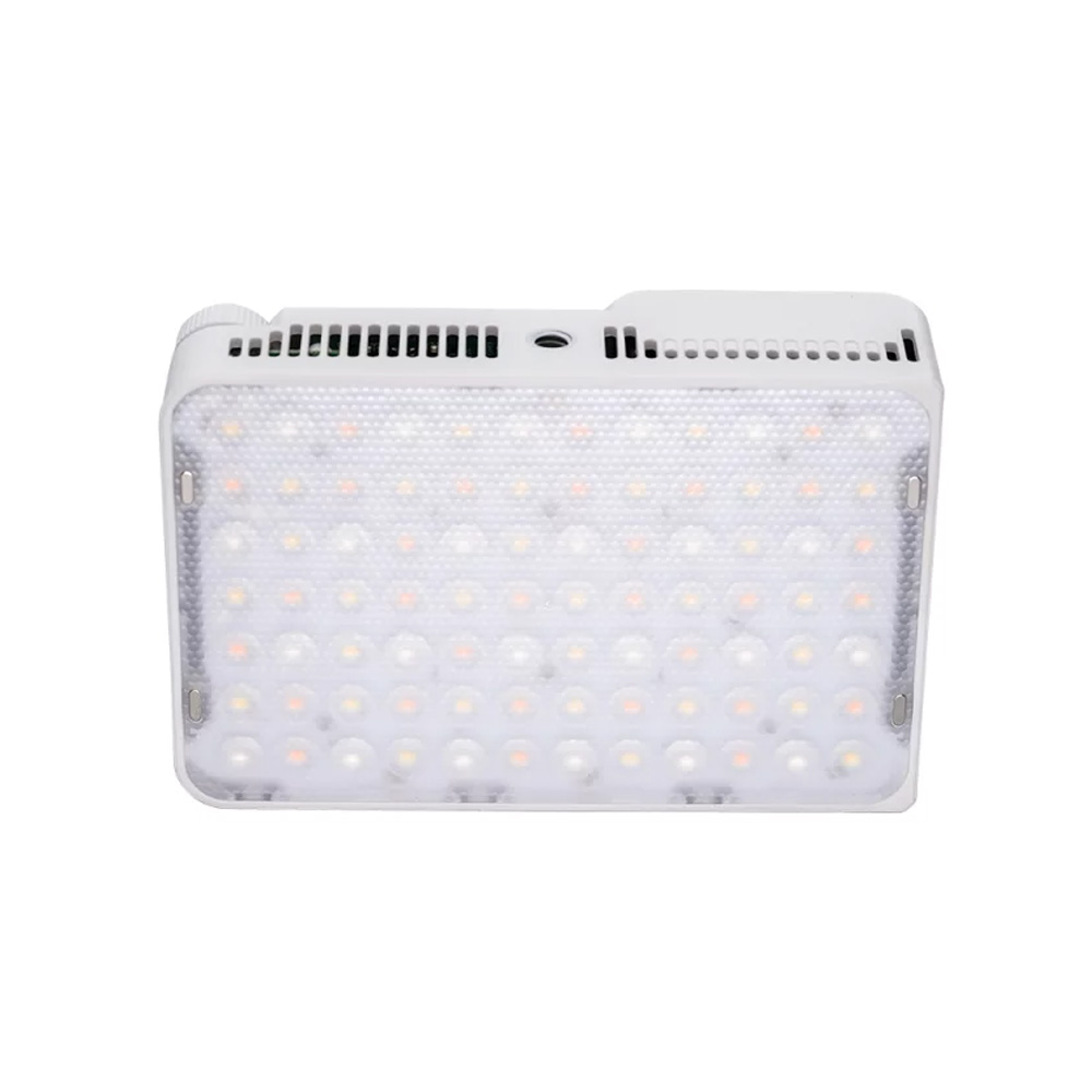 AM-6971842188222-1 Amaran - Ace 25c White