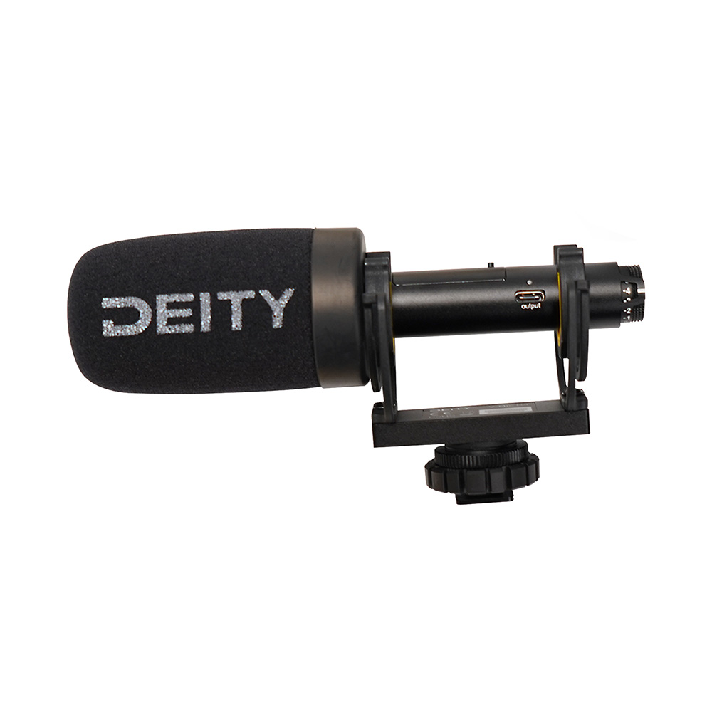 Deity - V-MIC D4