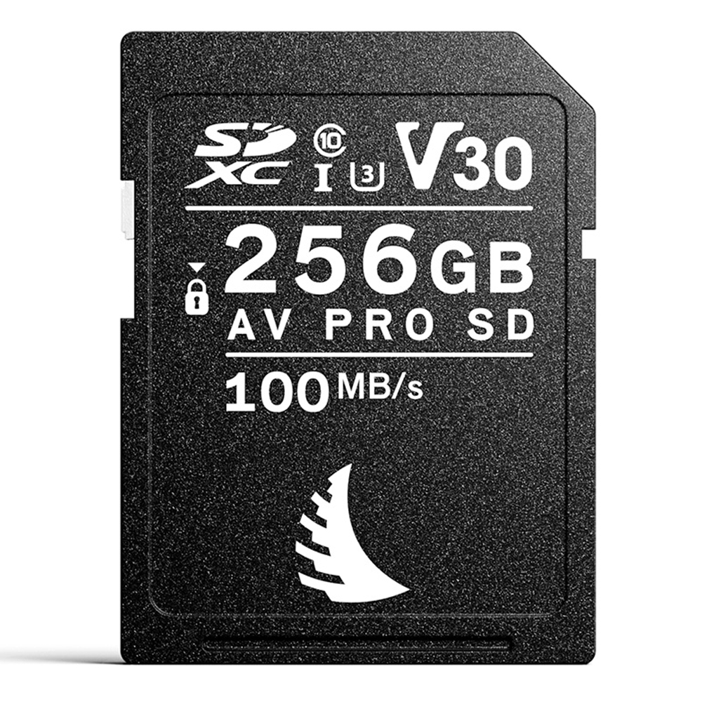 avp256sdv30-01 Angelbird - AV PRO SD V30 - 256 GB