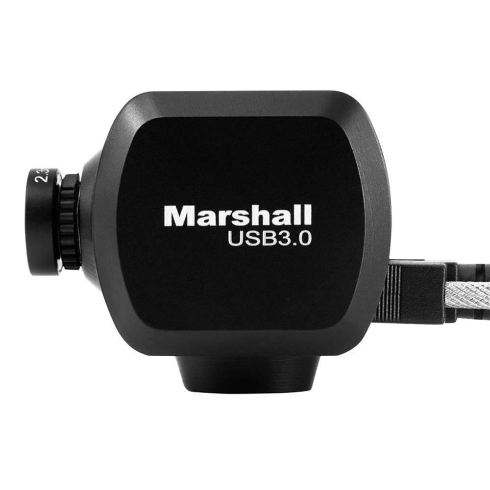 Marshall - CV503-U3