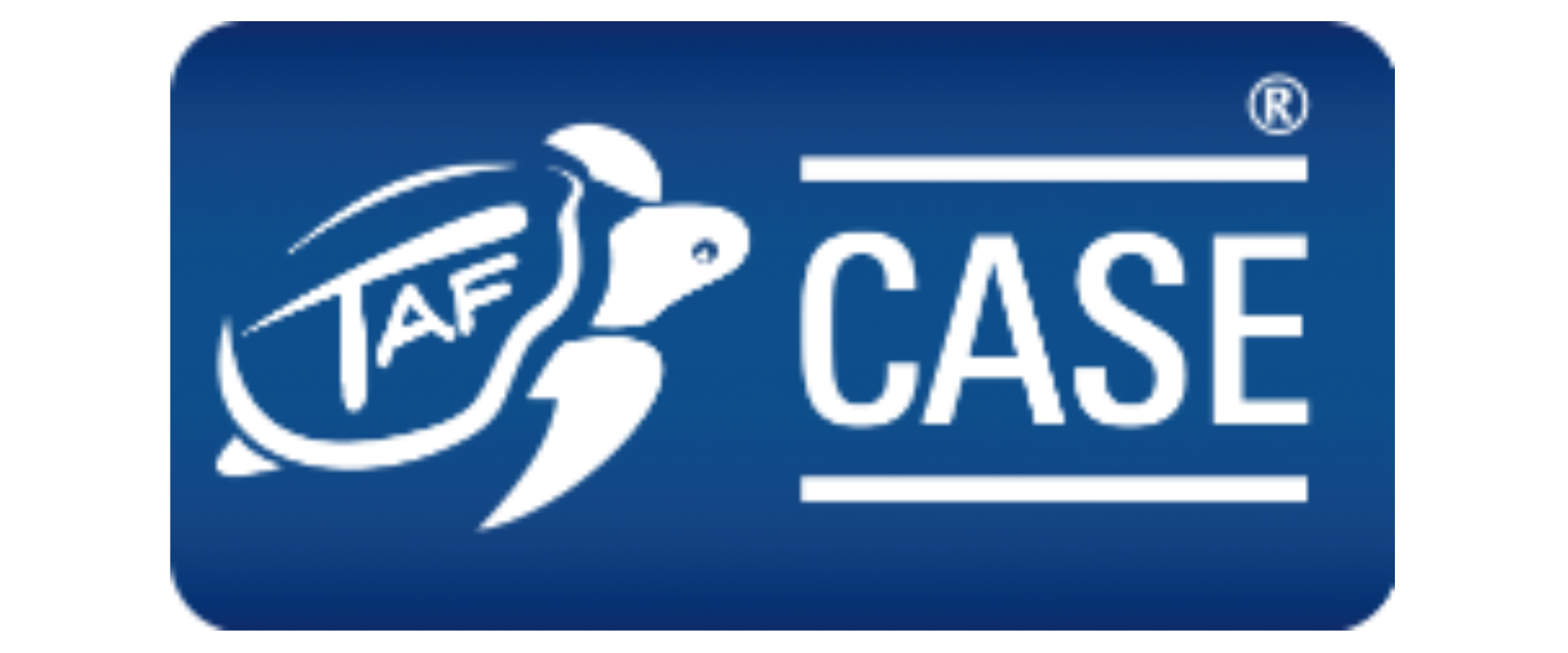 TAF CASE