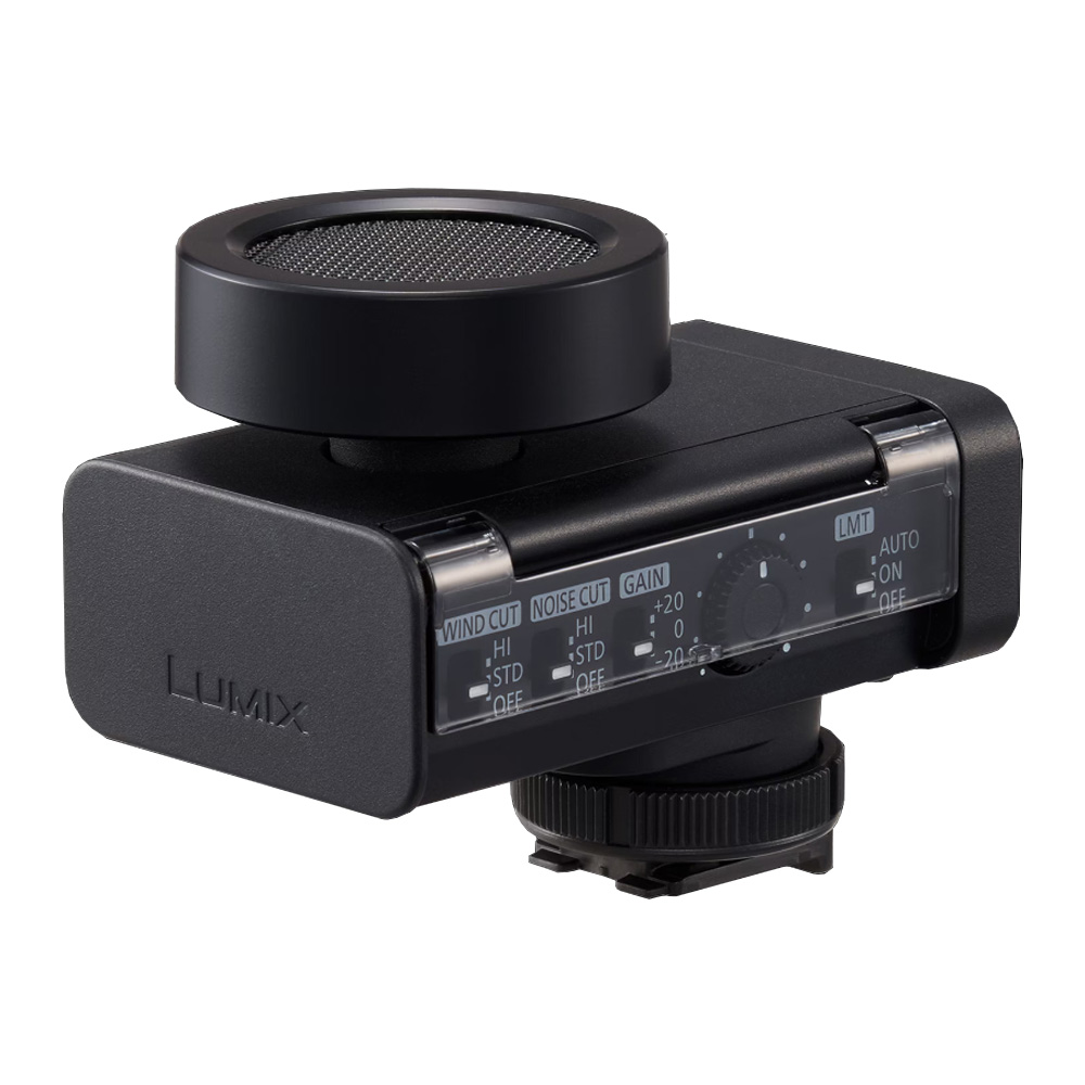 Panasonic - DMW-DMS1