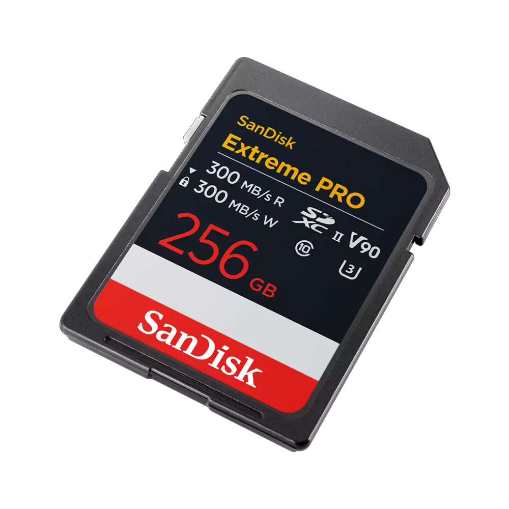 SDSDXDM-256G-GN4IN-2