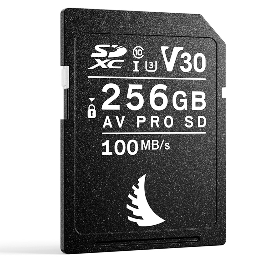 avp256sdv30-02