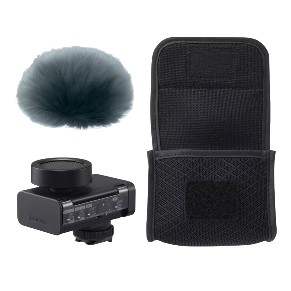 Panasonic - DMW-DMS1